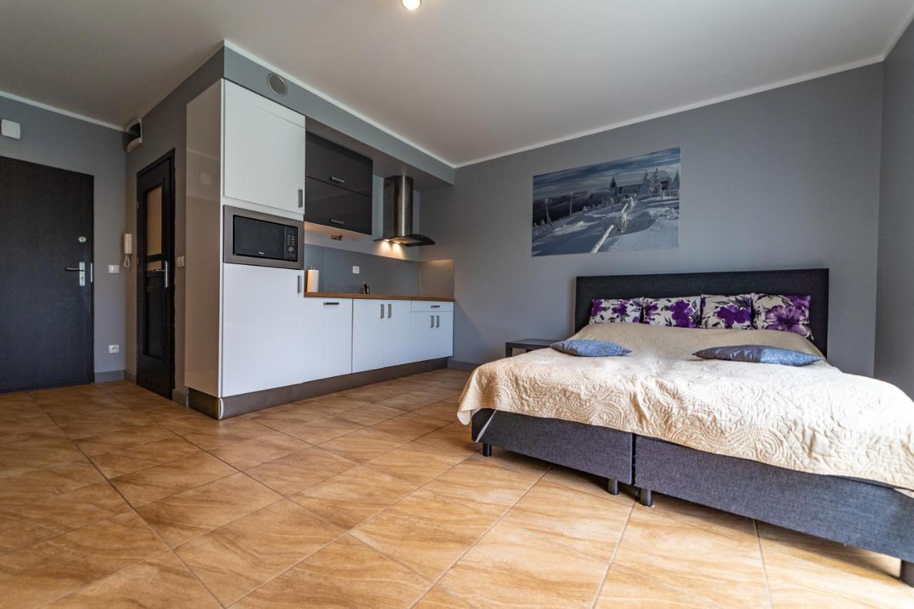 Świeradów-Zdrój Apartament Zielony Zakatek מראה חיצוני תמונה